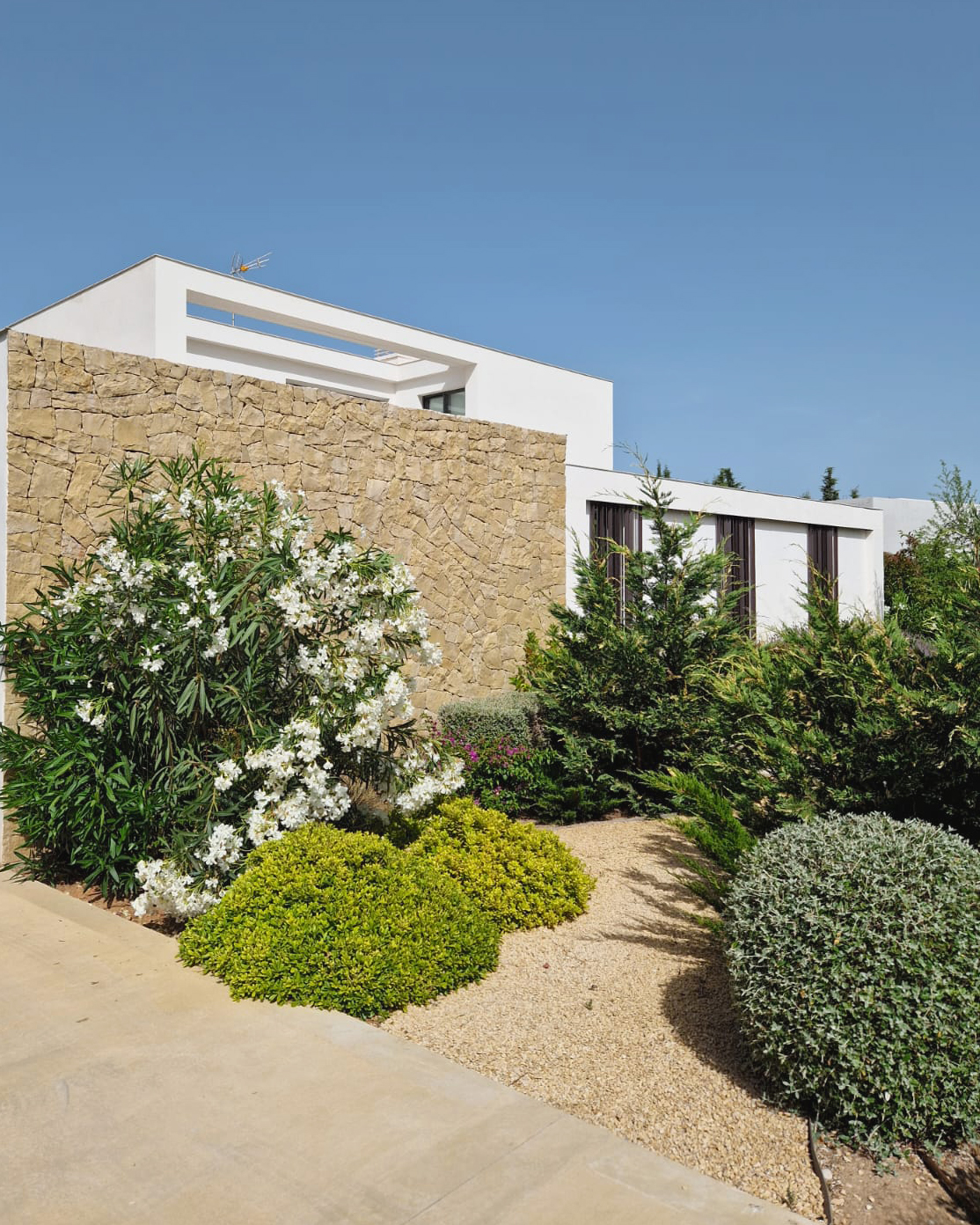 Baobao-paisajismo-B0719-01