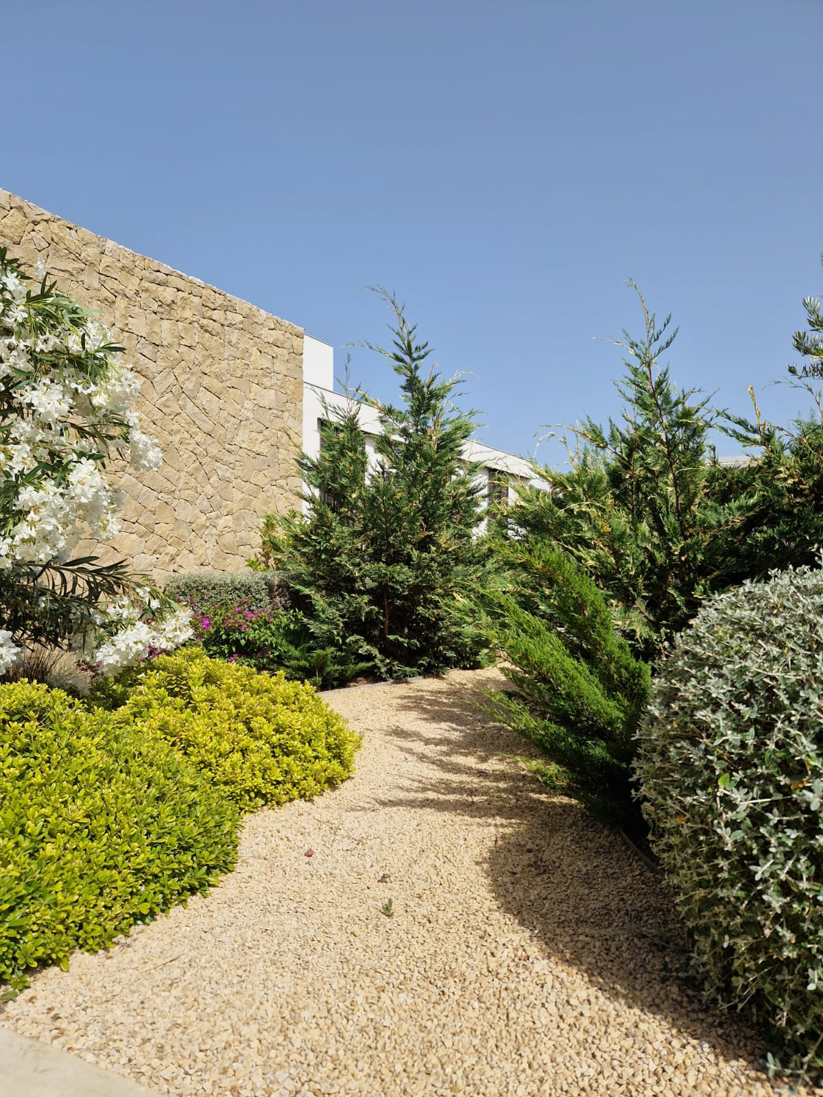 Baobao-paisajismo-B0719-03