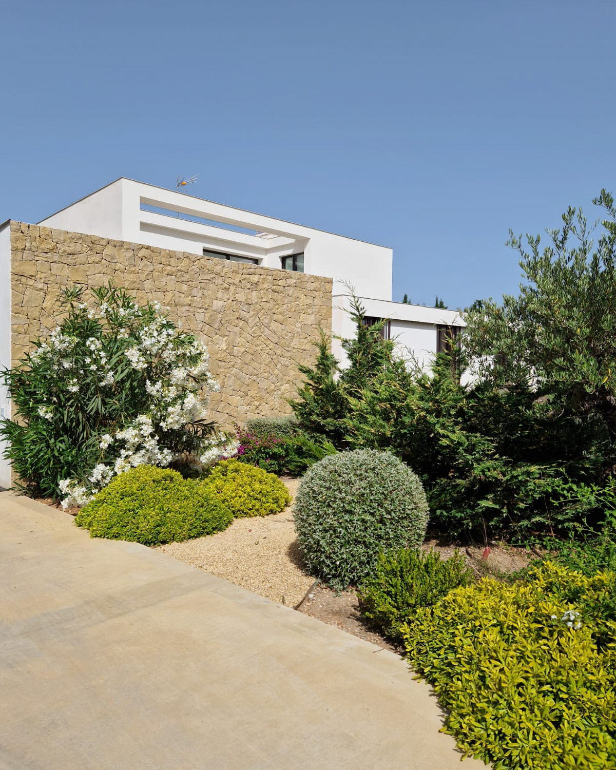 Baobao-paisajismo-B0719-04