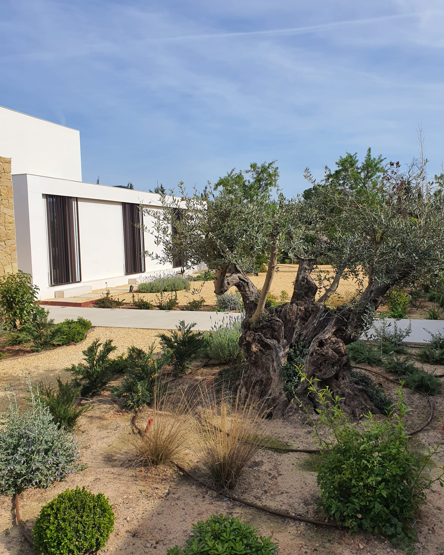 Baobao-paisajismo-B0719-10