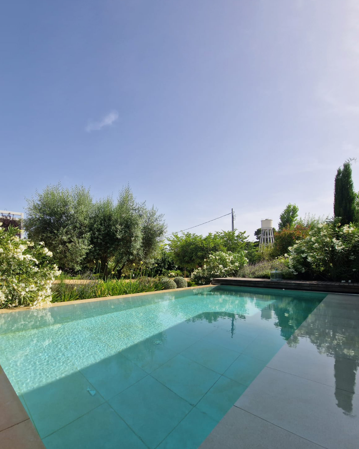 Baobao-paisajismo-B0719-11