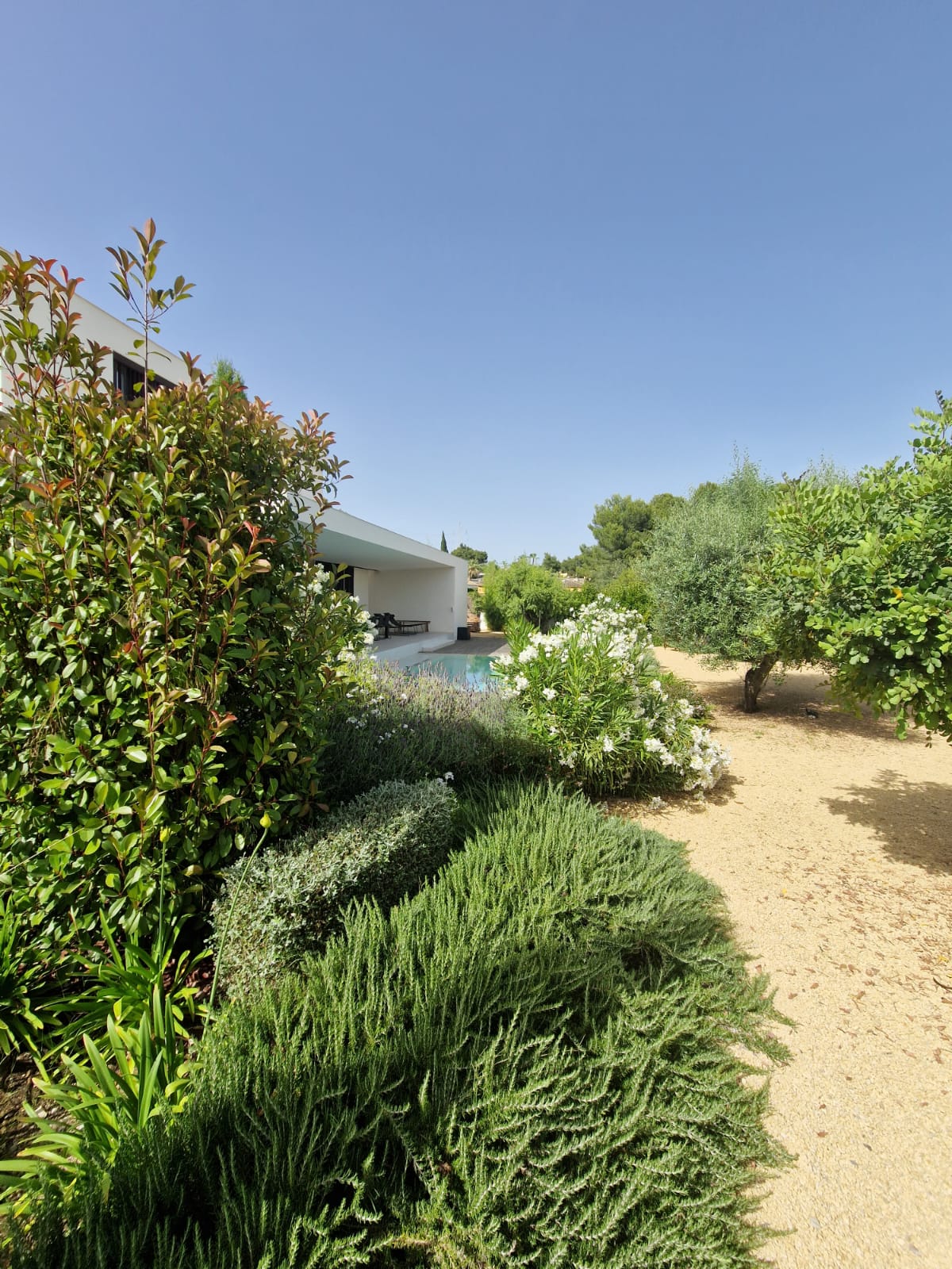 Baobao-paisajismo-B0719-12