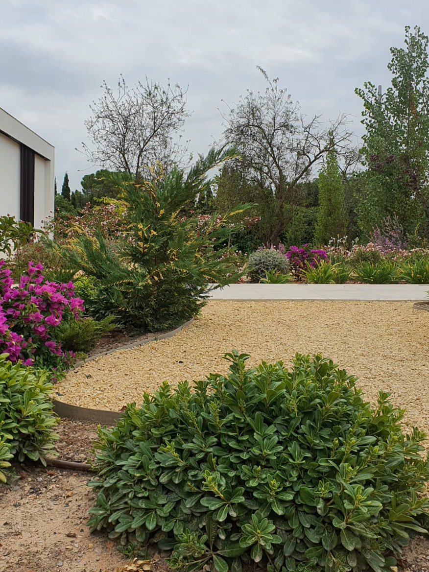 Baobao-paisajismo-B0719-5