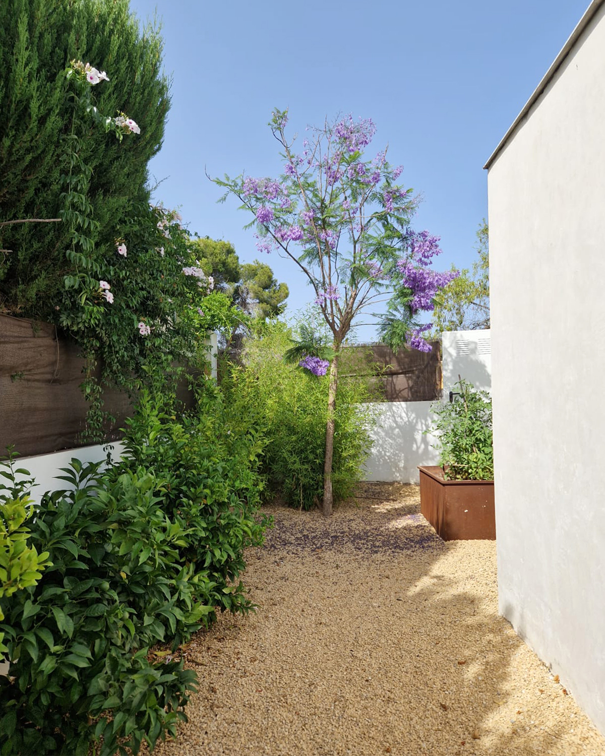 Baobao-paisajismo-B0719-9