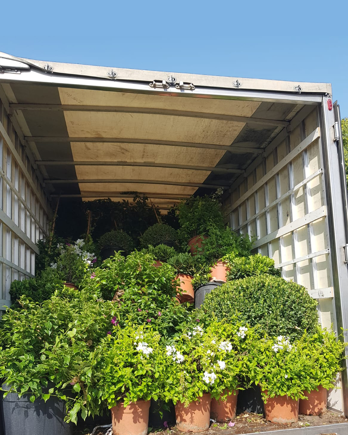 Baobao-paisajismo-B0719-proceso-1