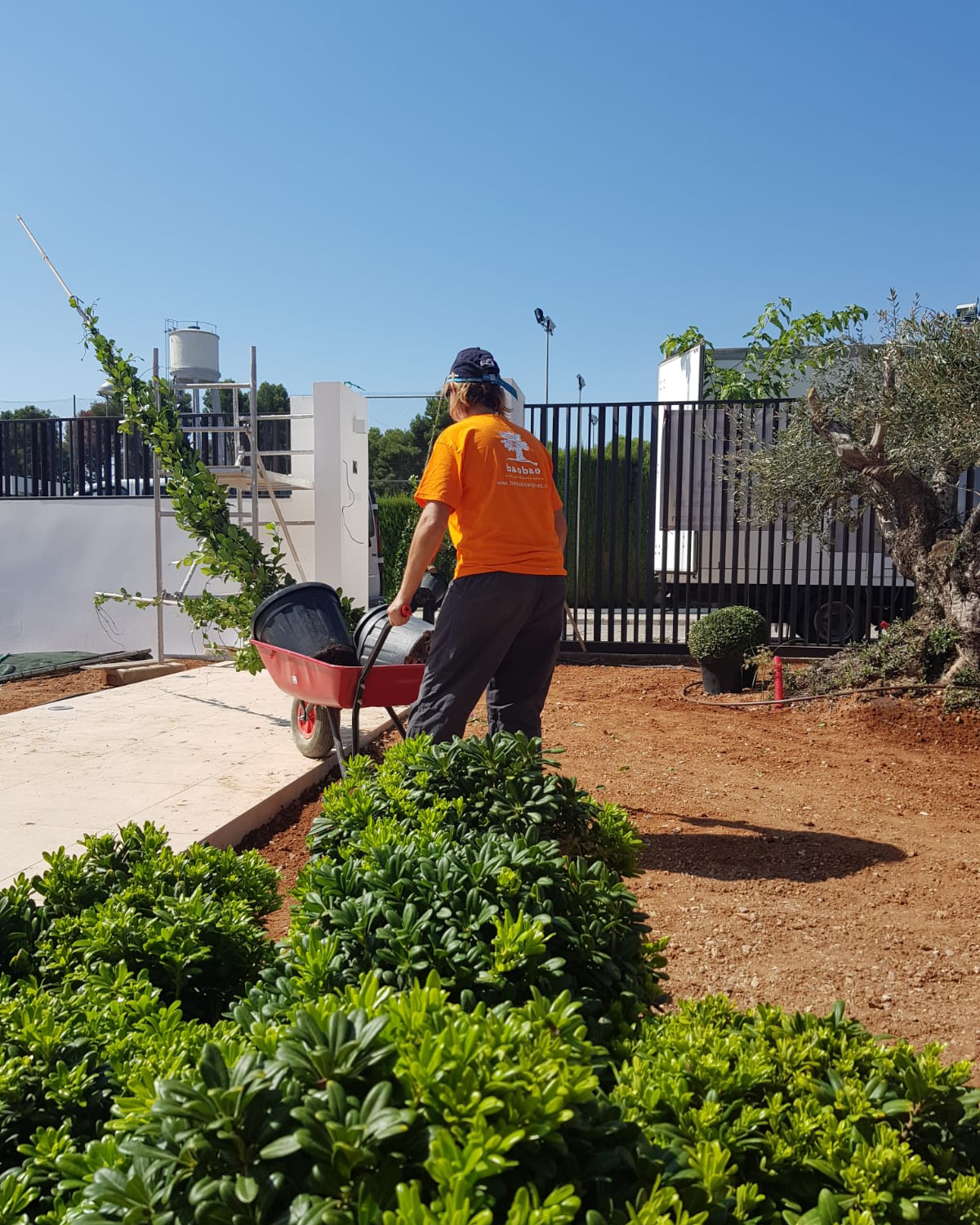 Baobao-paisajismo-B0719-proceso-2