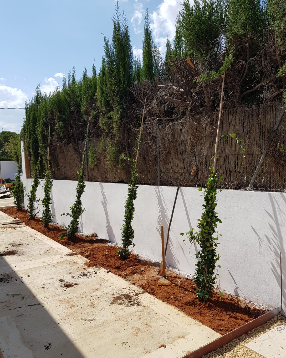 Baobao-paisajismo-B0719-proceso-4