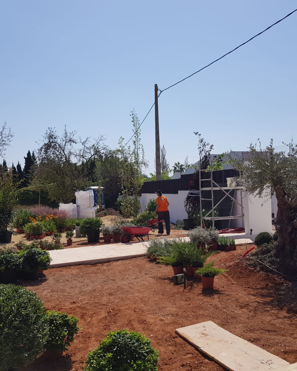 Baobao-paisajismo-B0719-proceso-5