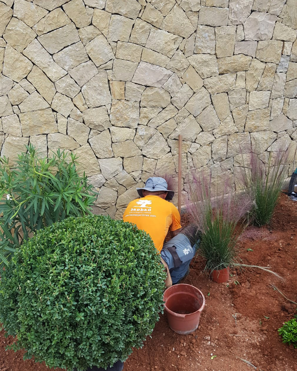 Baobao-paisajismo-B0719-proceso-7