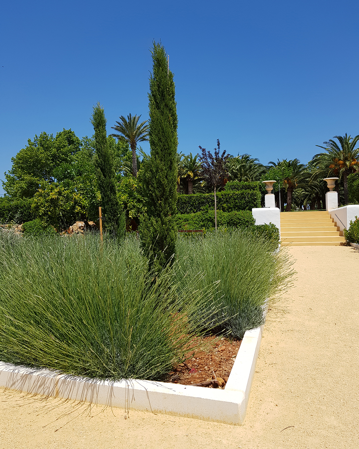 Baobao-paisajismo-B216-15