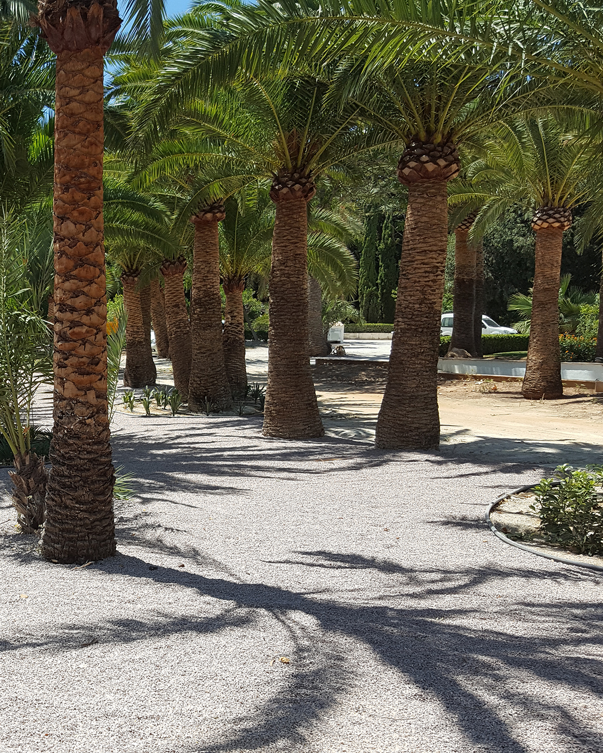 Baobao-paisajismo-B216-17