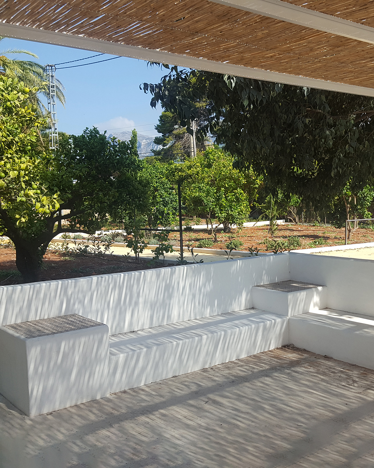 Baobao-paisajismo-B216-18