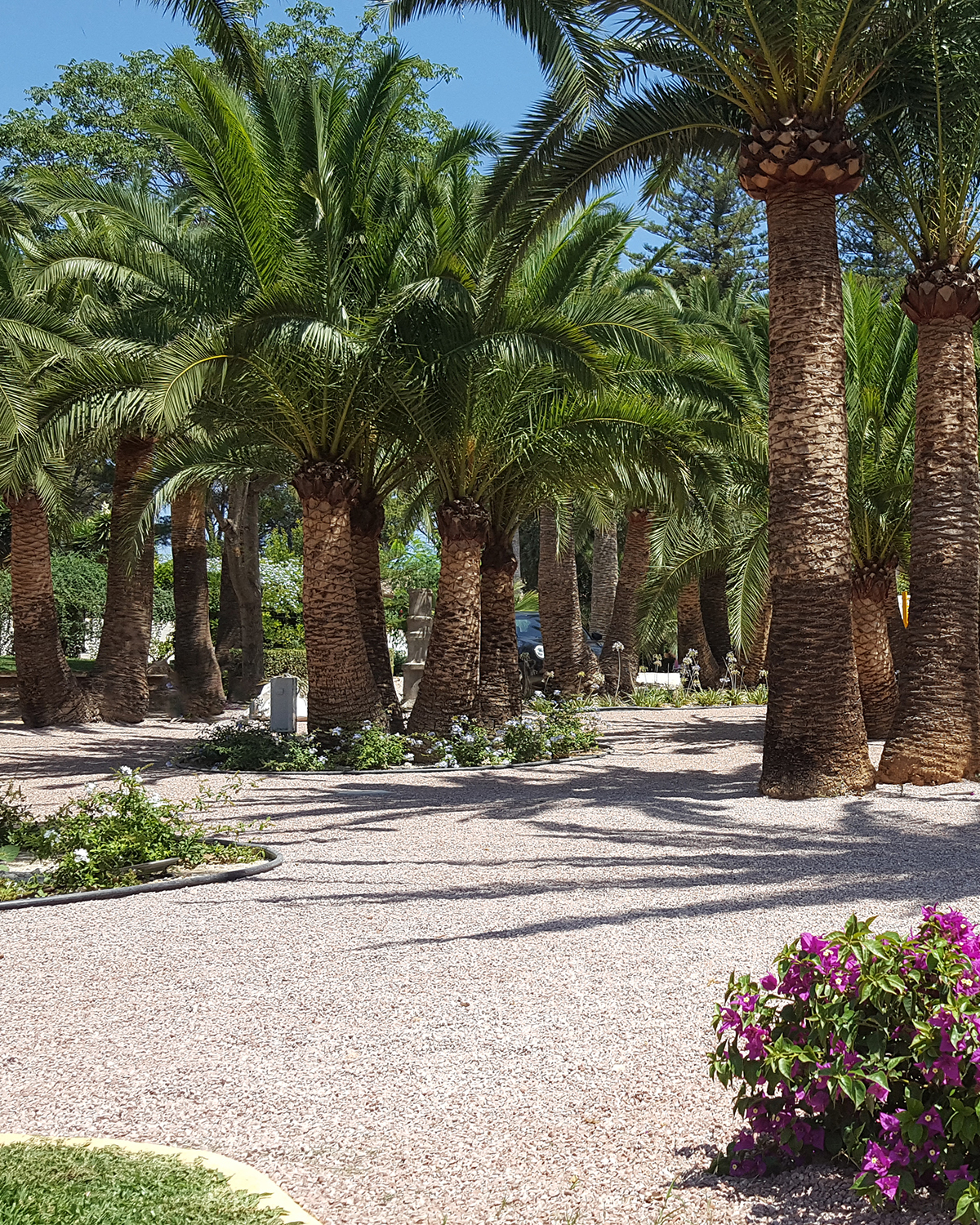 Baobao-paisajismo-B216-21