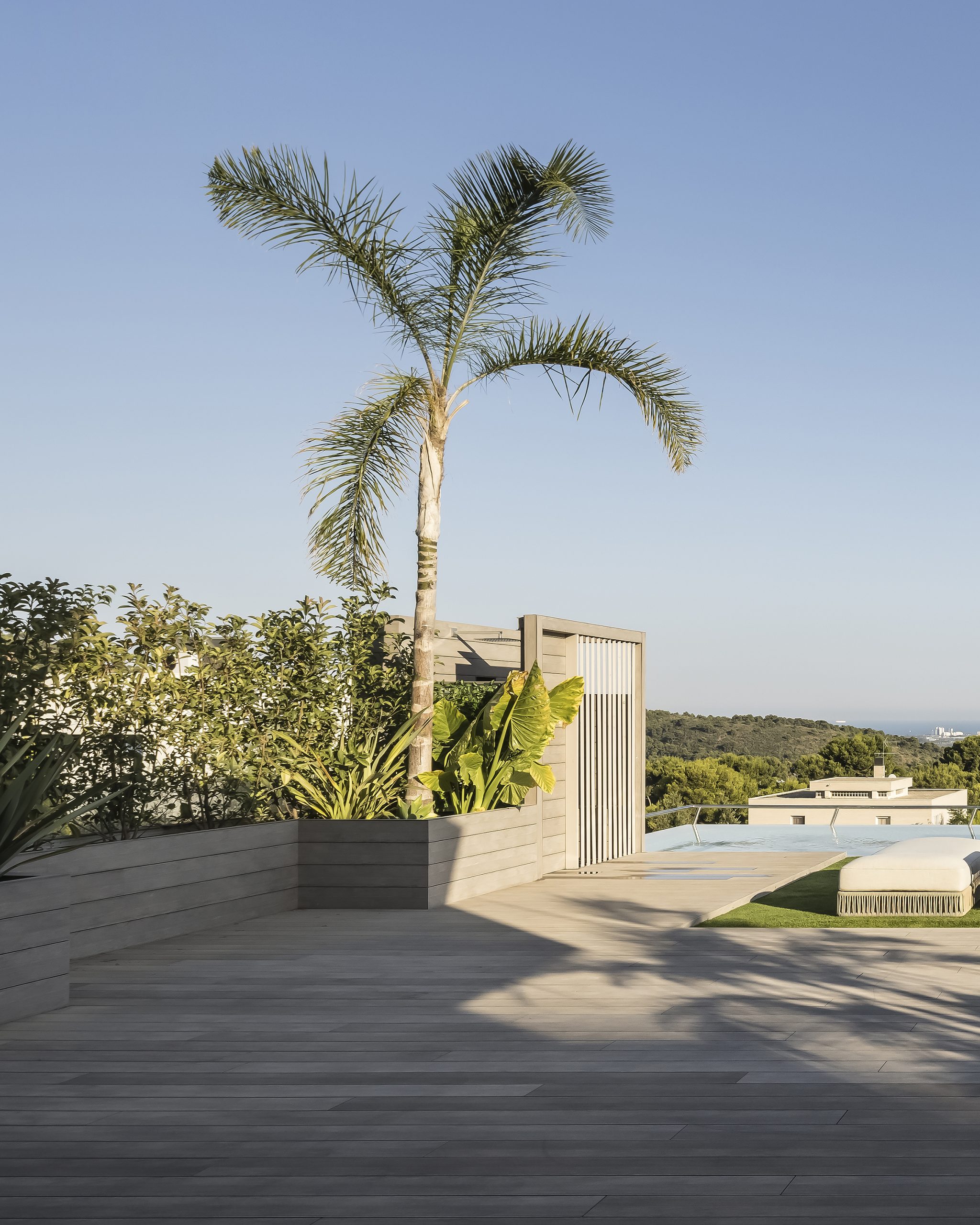 Baobao-paisajismo-B2221-10