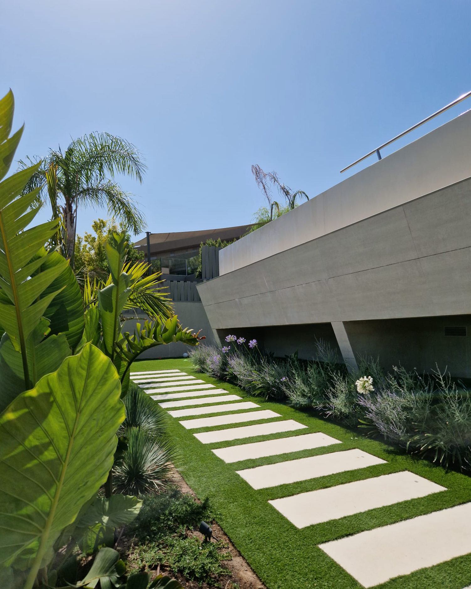 Baobao-paisajismo-B2221-17