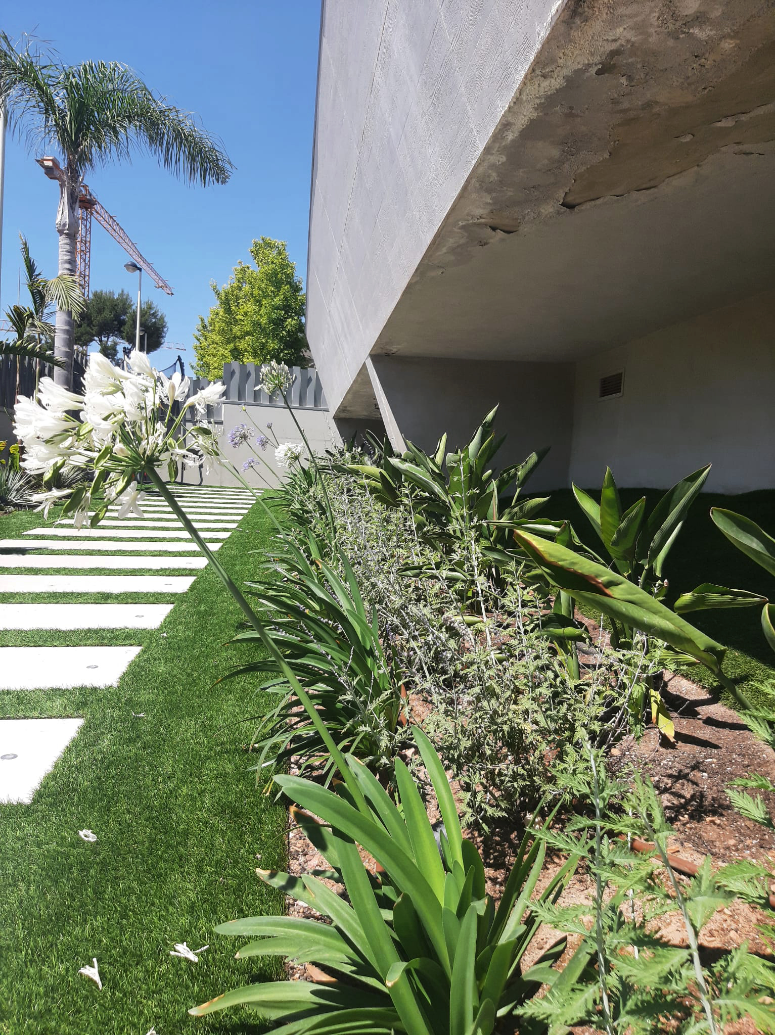 Baobao-paisajismo-B2221-18