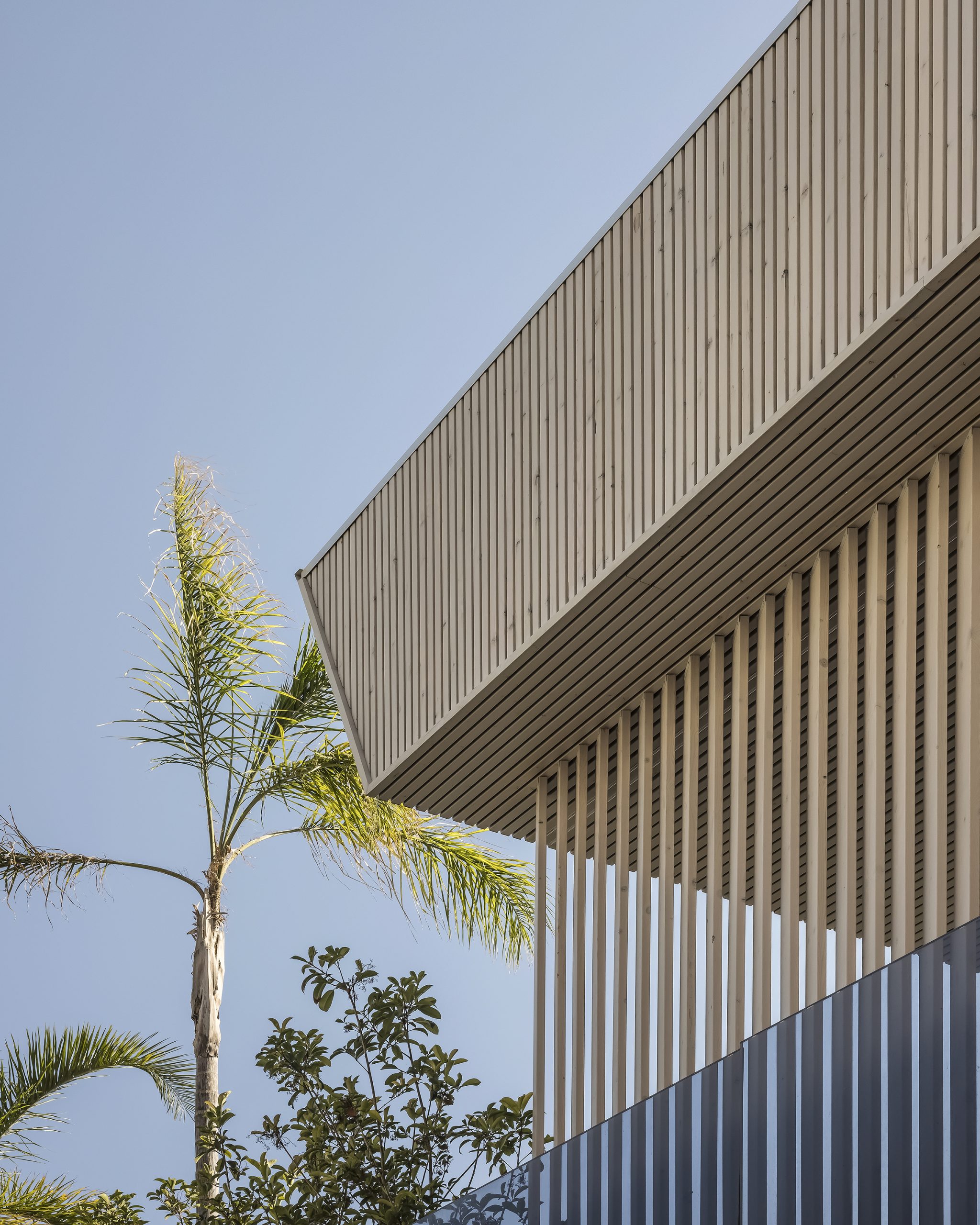 Baobao-paisajismo-B2221-2