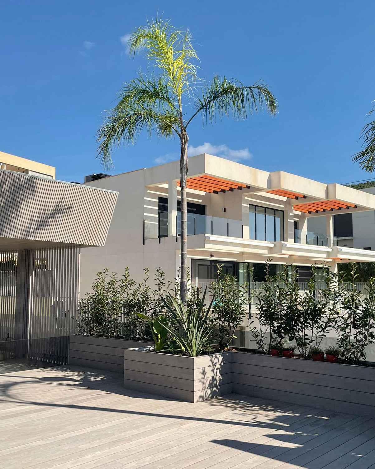 Baobao-paisajismo-B2221-20