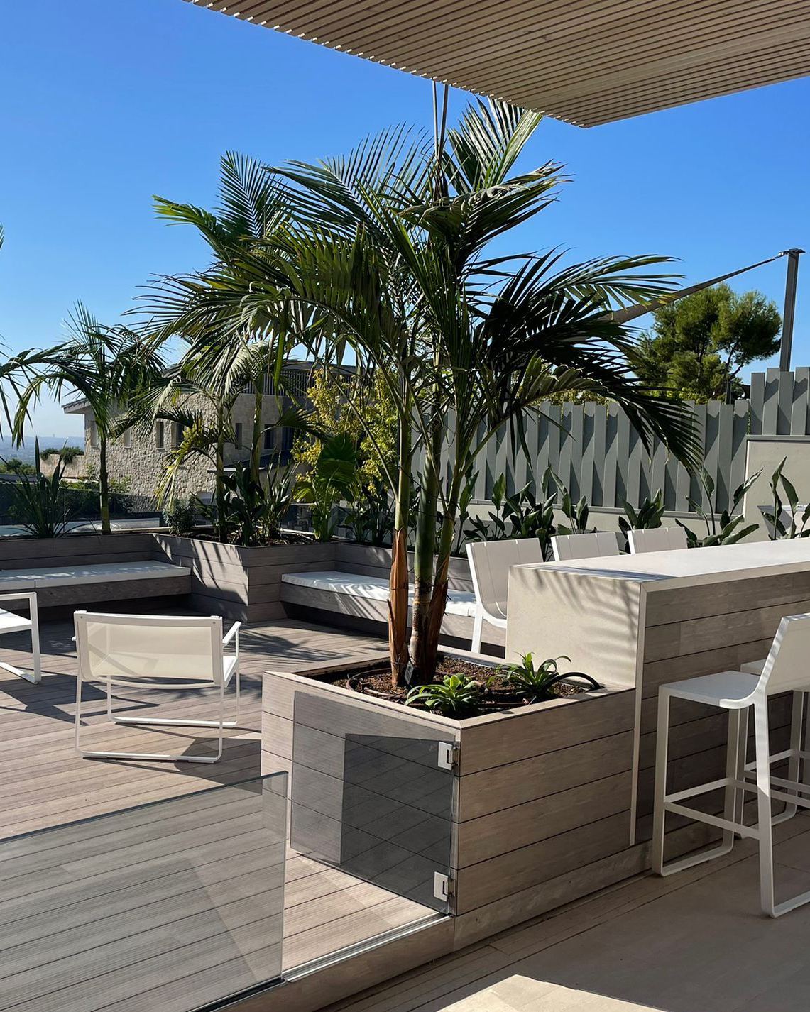 Baobao-paisajismo-B2221-21