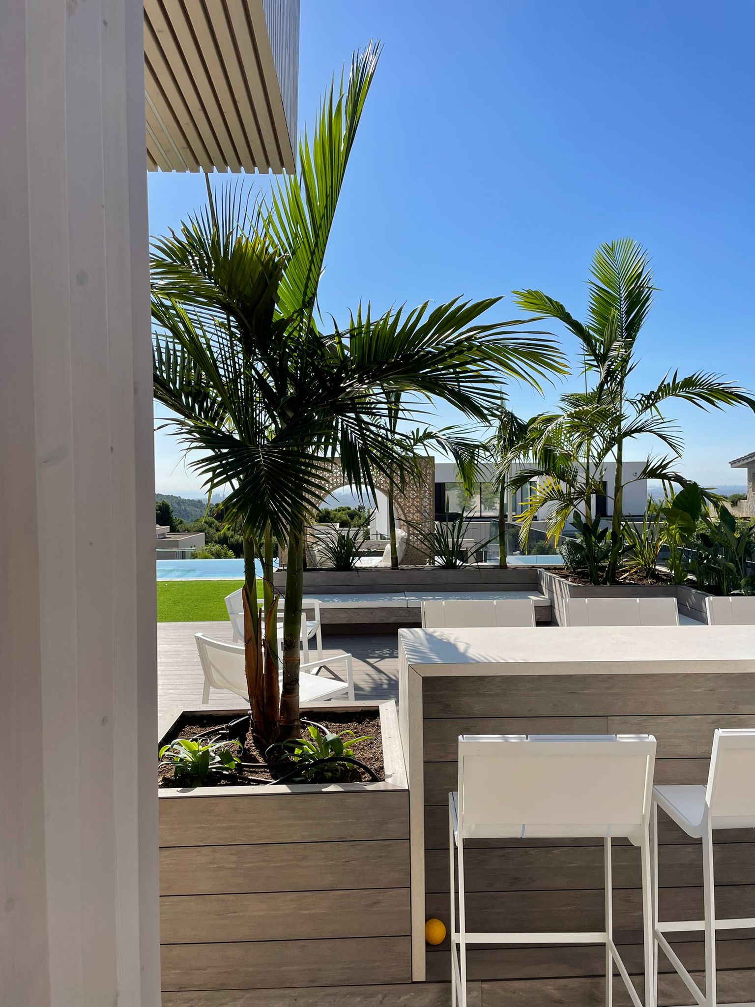 Baobao-paisajismo-B2221-22