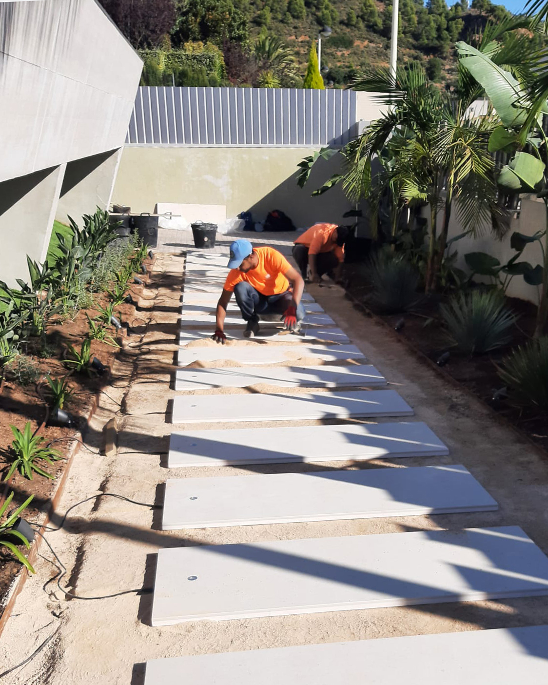 Baobao-paisajismo-B2221-proceso-7