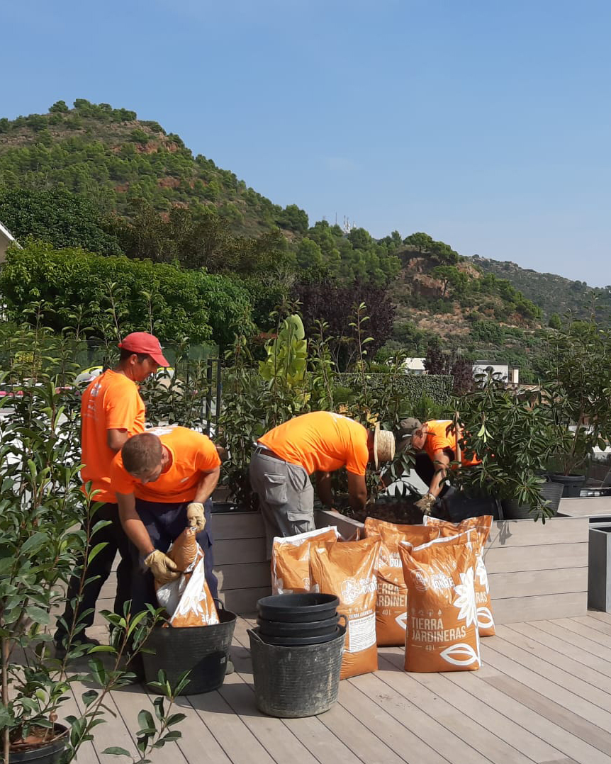 Baobao-paisajismo-B2221-proceso-8