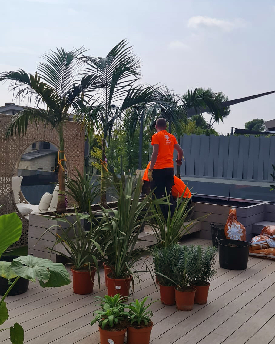 Baobao-paisajismo-B2221-proceso-9