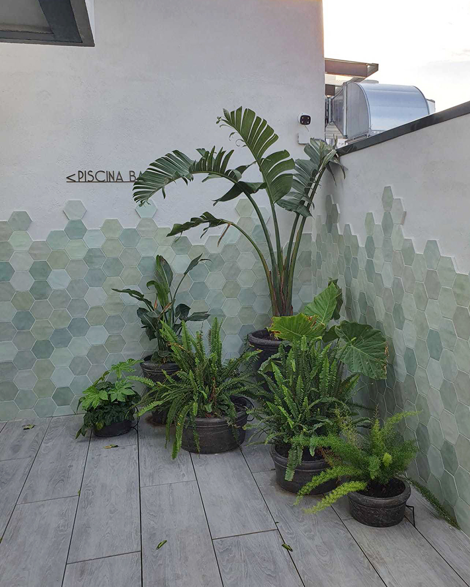 Baobao-paisajismo-B2519-13