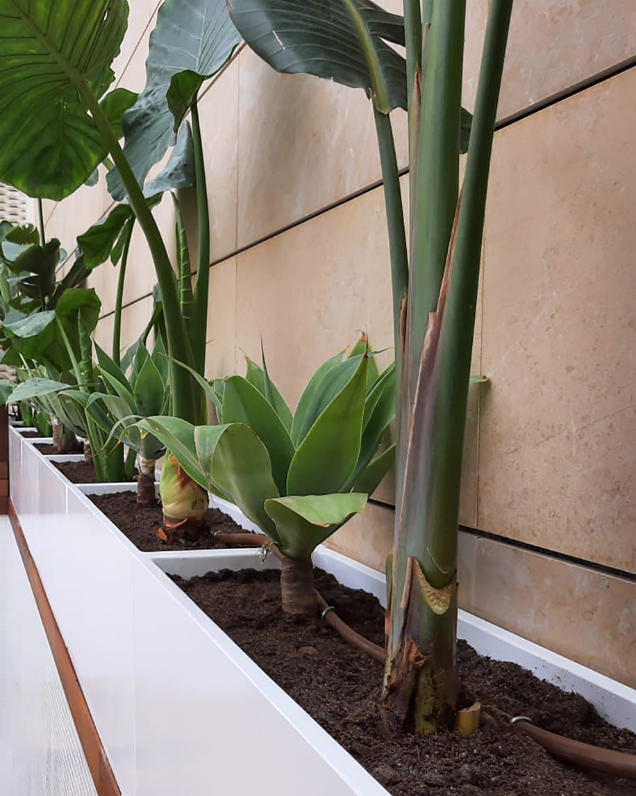 Baobao-paisajismo-terraza-navarro-7