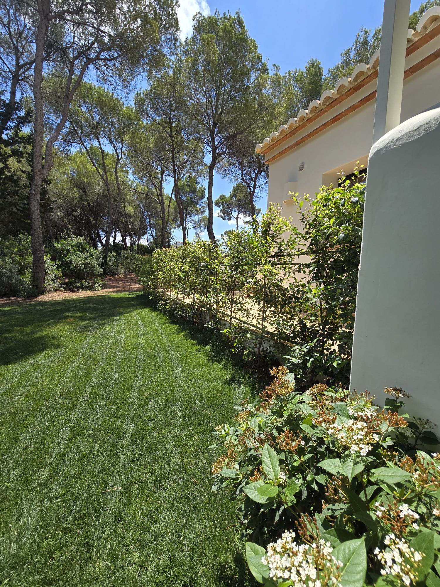 BAOBAO-Jardin-LaMoya-10