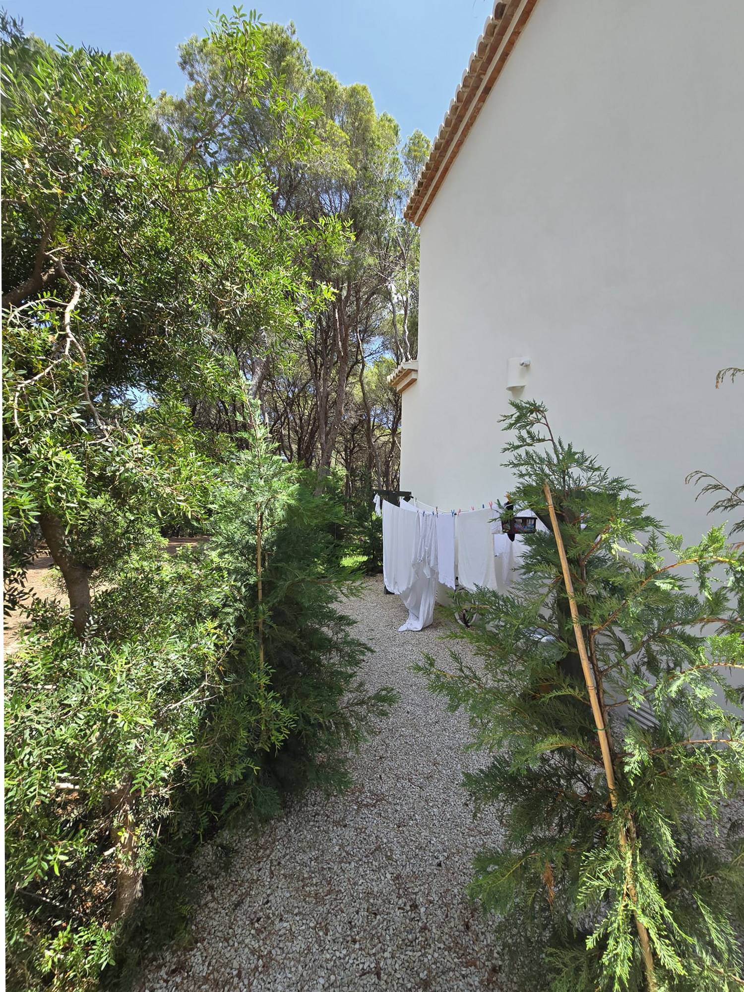 BAOBAO-Jardin-LaMoya-6