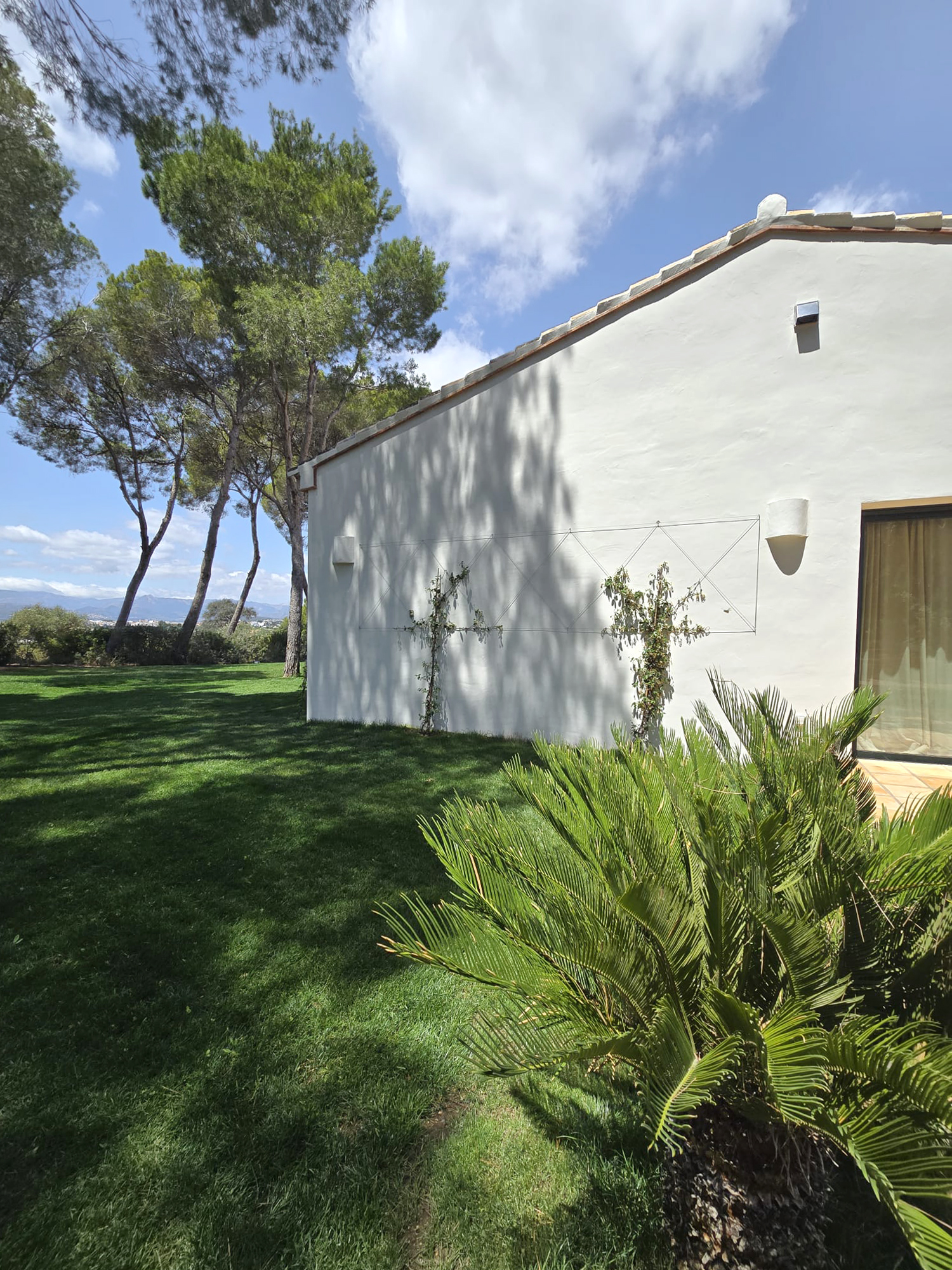 BAOBAO-Jardin-LaMoya-8