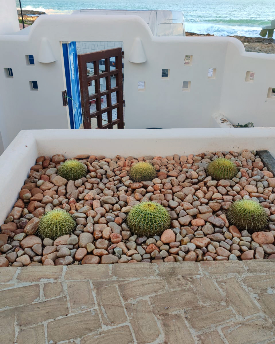 baobao-paisajismo-cala-blanca-8