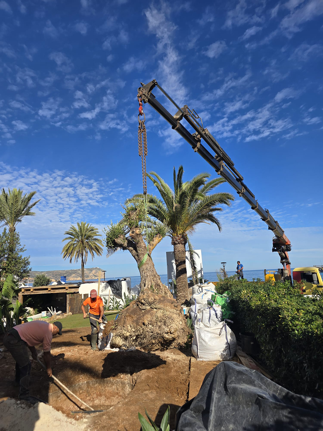 baobao-paisajismo-calablanca-proceso-10