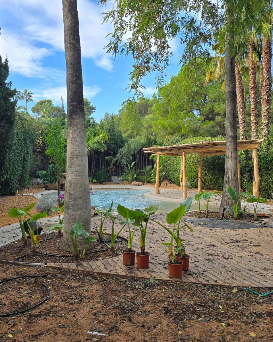 baobao-paisajismo-calablanca-proceso-5