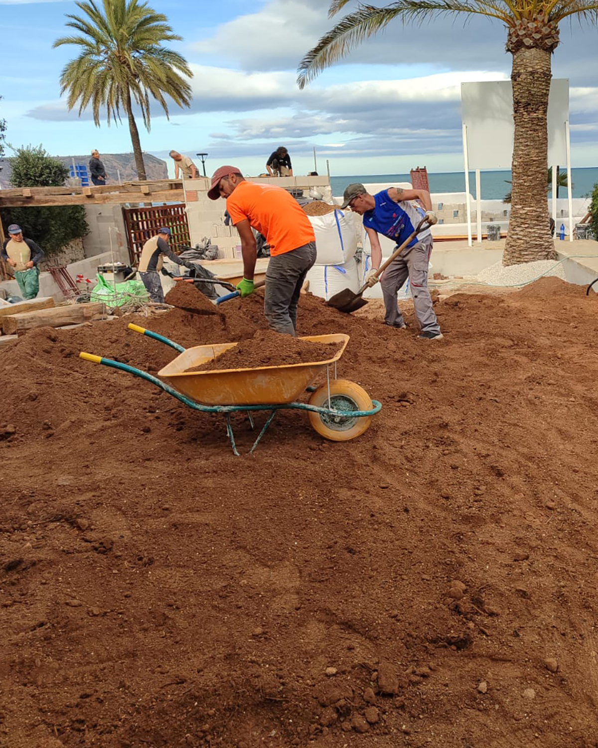 baobao-paisajismo-calablanca-proceso-7