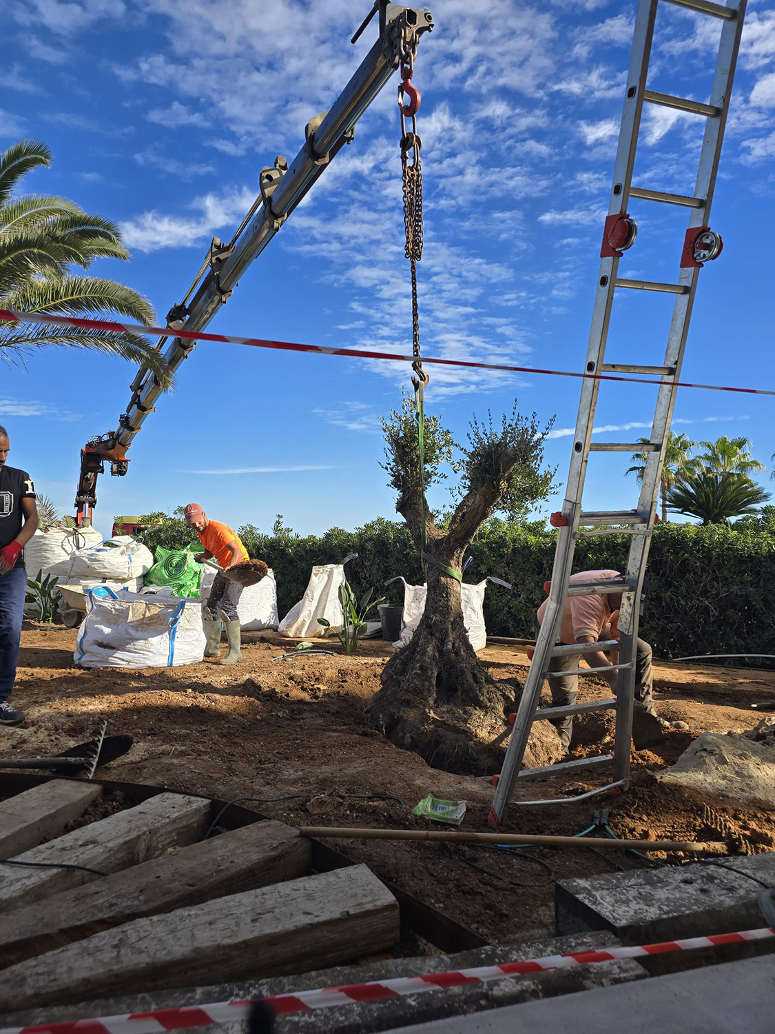 baobao-paisajismo-calablanca-proceso-8