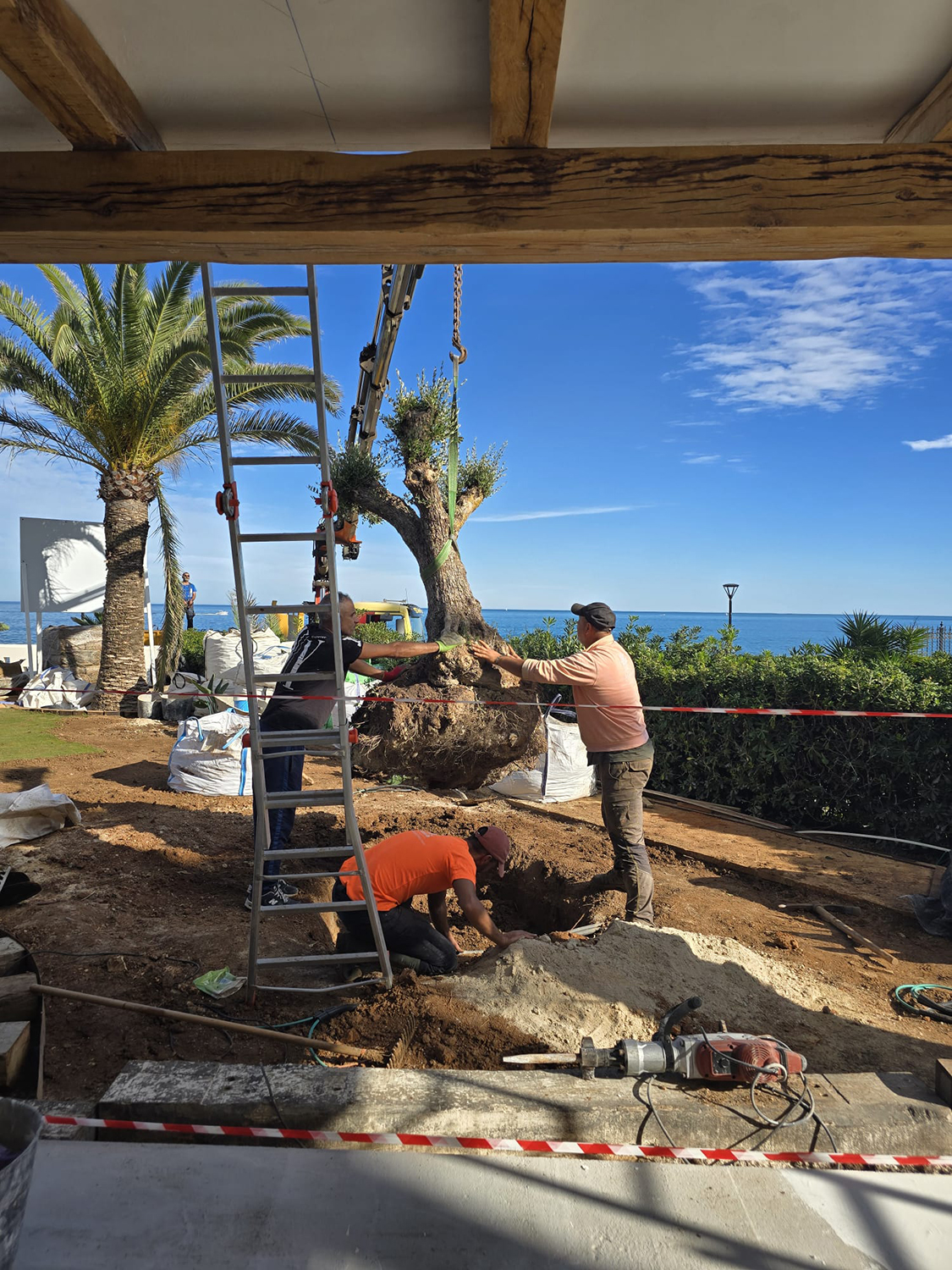 baobao-paisajismo-calablanca-proceso-9