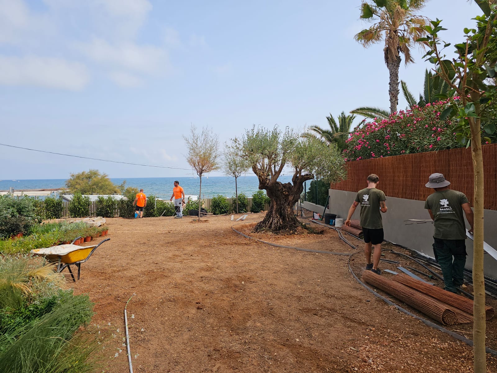 baobao-paisajismo-rotas-proceso1