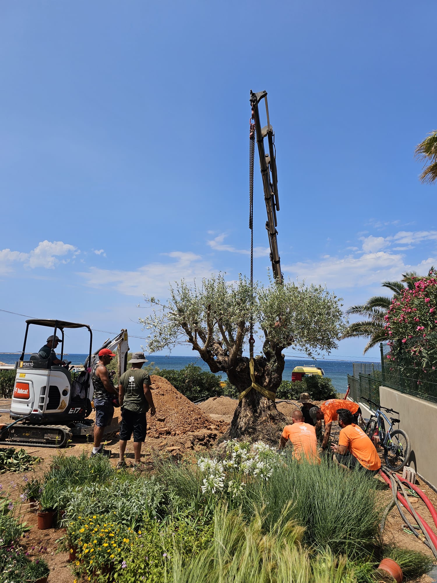 baobao-paisajismo-rotas-proceso2