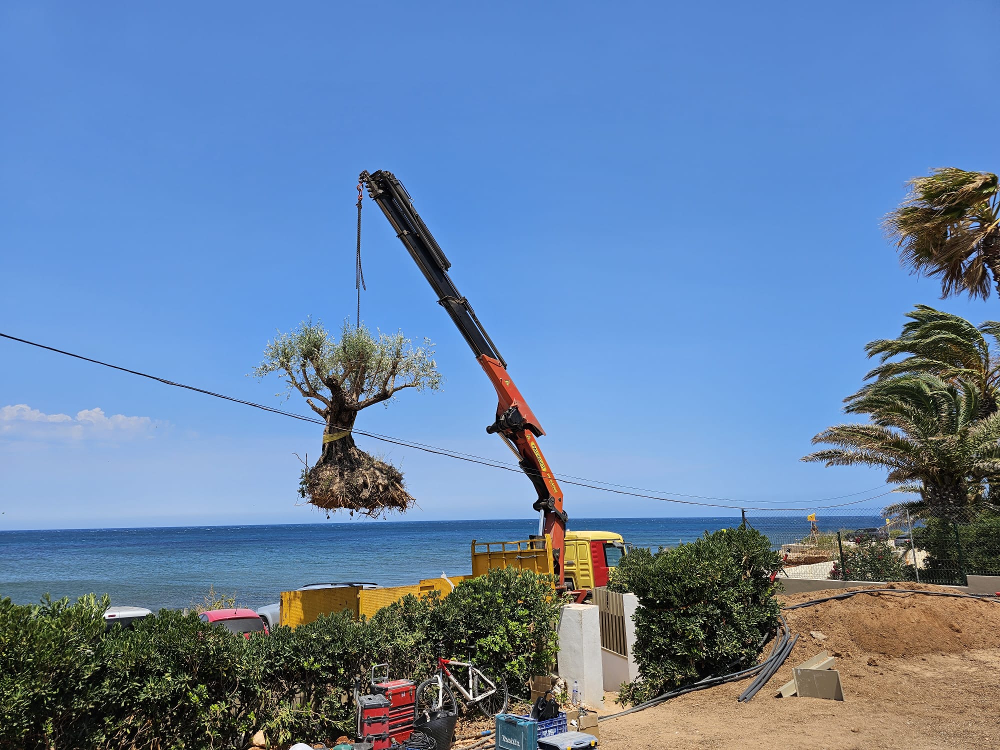 baobao-paisajismo-rotas-proceso3