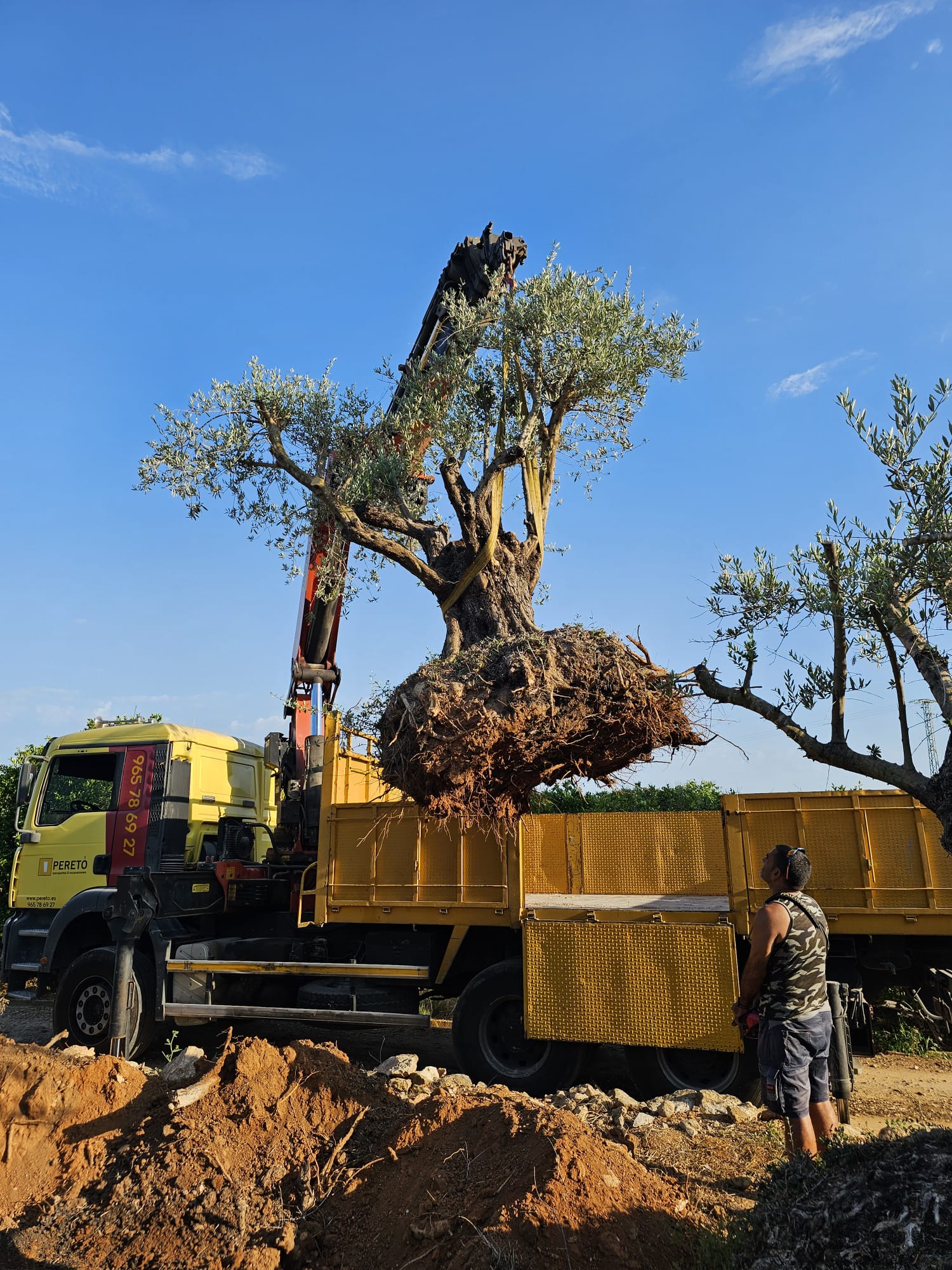 baobao-paisajismo-rotas-proceso4