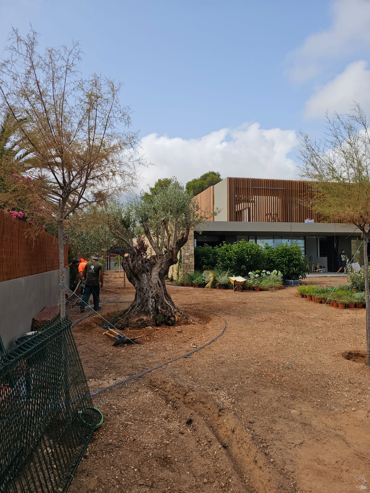 baobao-paisajismo-rotas-proceso5