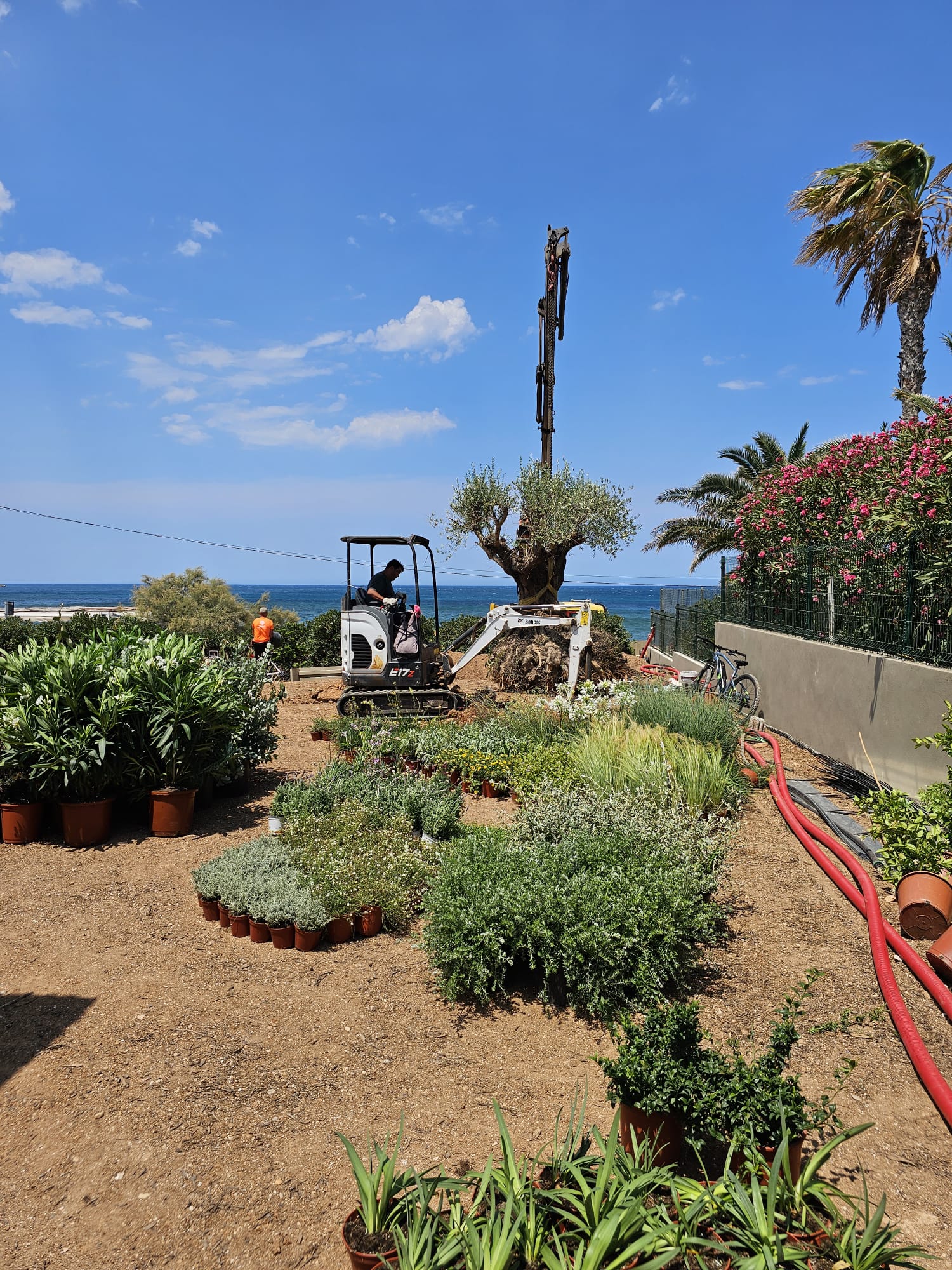 baobao-paisajismo-rotas-proceso6