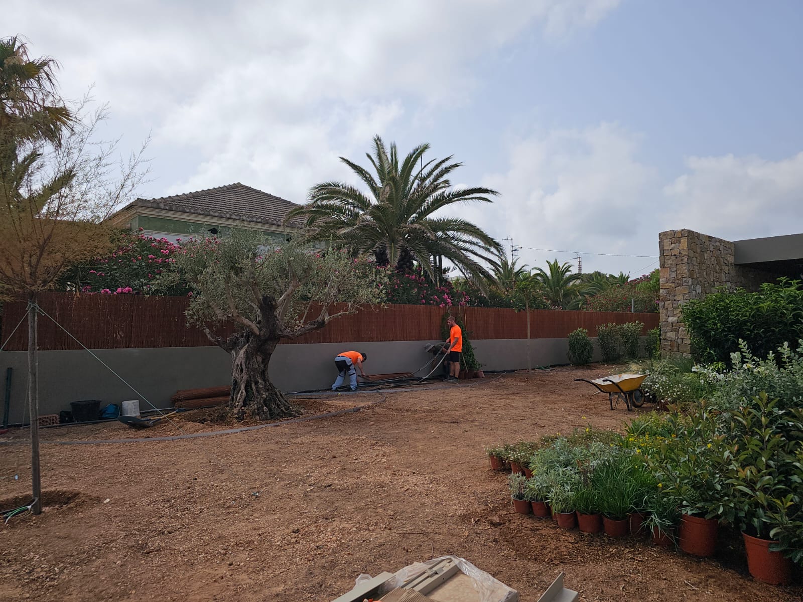 baobao-paisajismo-rotas-proceso9