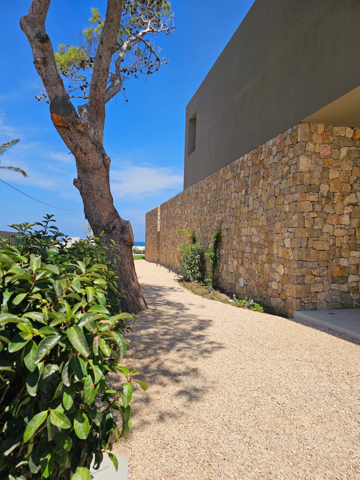 baobao-paisajismo-rotas1