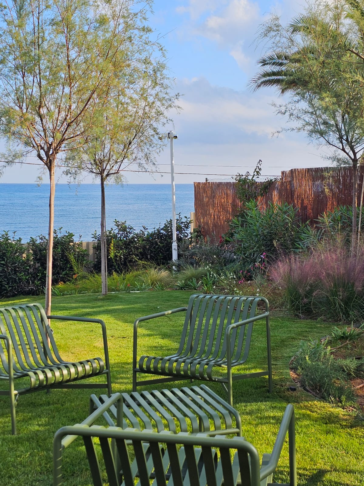 baobao-paisajismo-rotas12