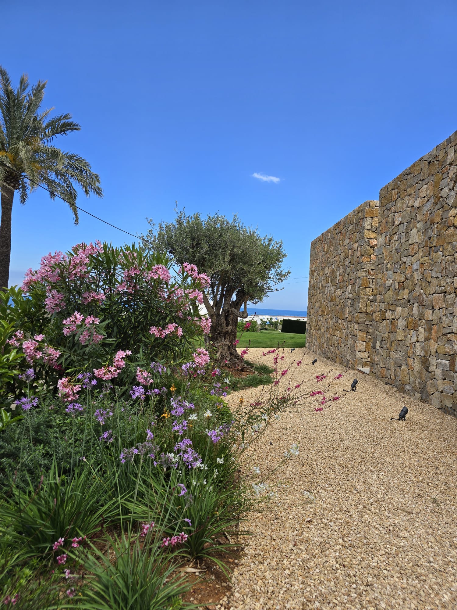 baobao-paisajismo-rotas13