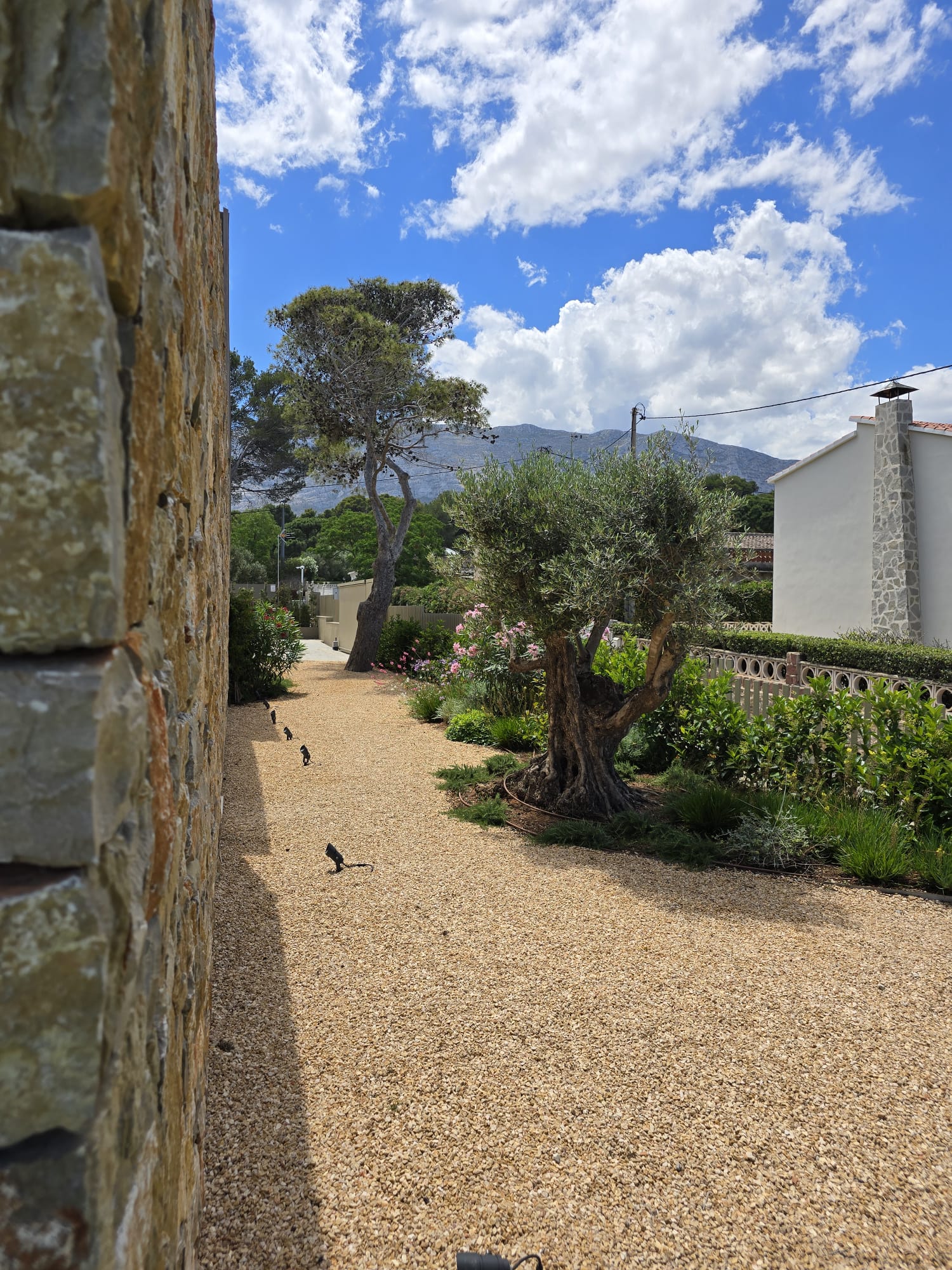 baobao-paisajismo-rotas14