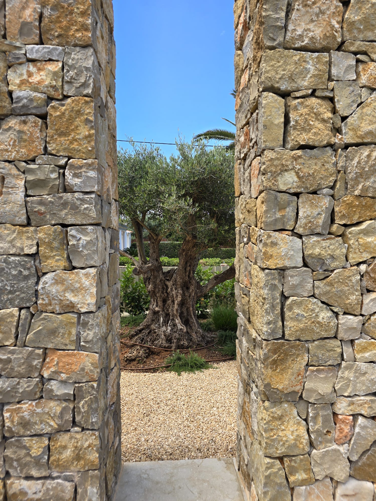 baobao-paisajismo-rotas15